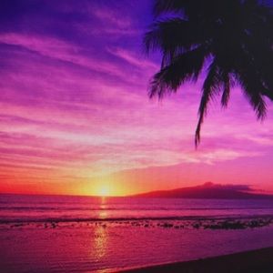 Meet your Posher, Janelle